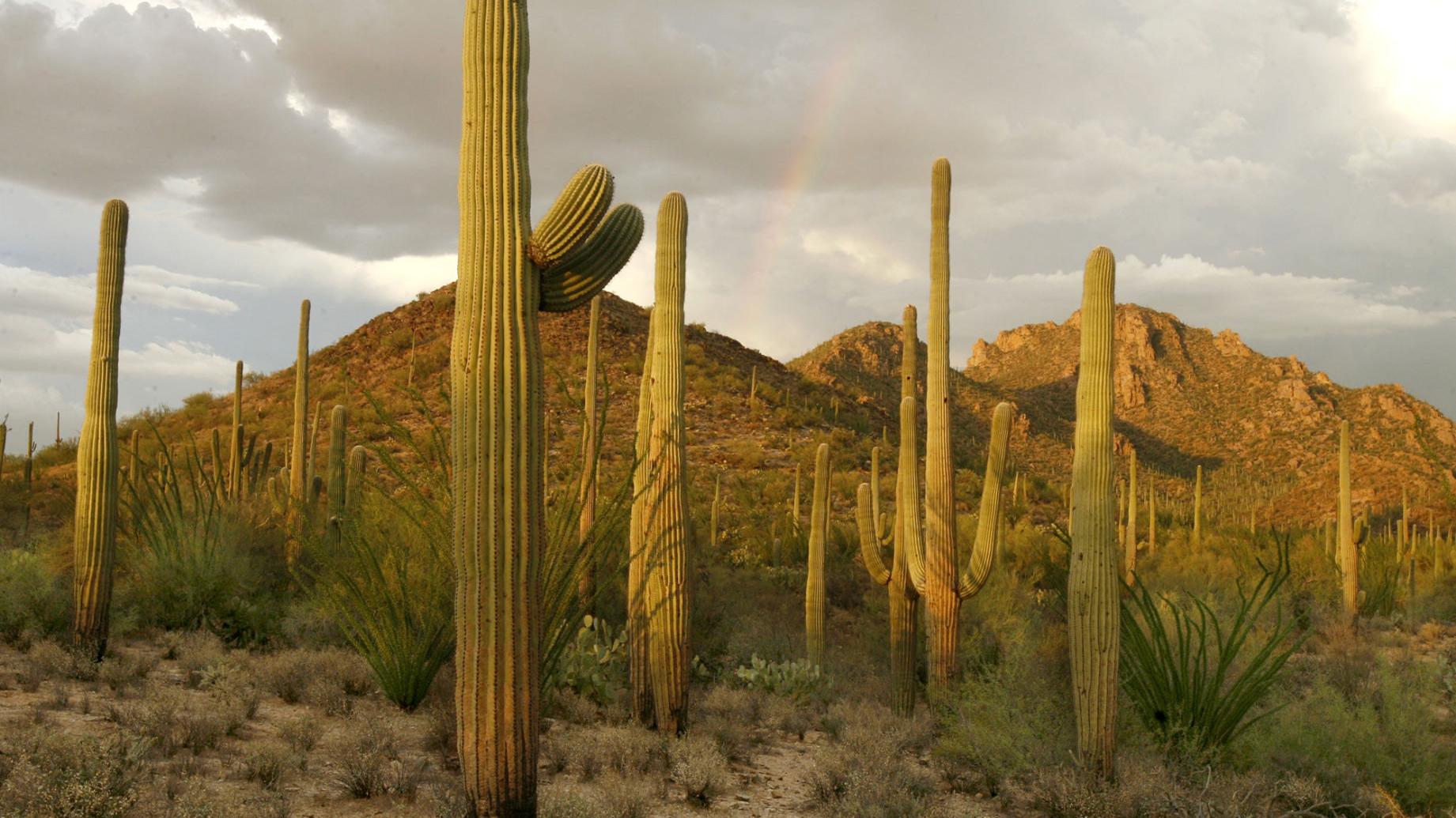 State and National Parks in Arizona